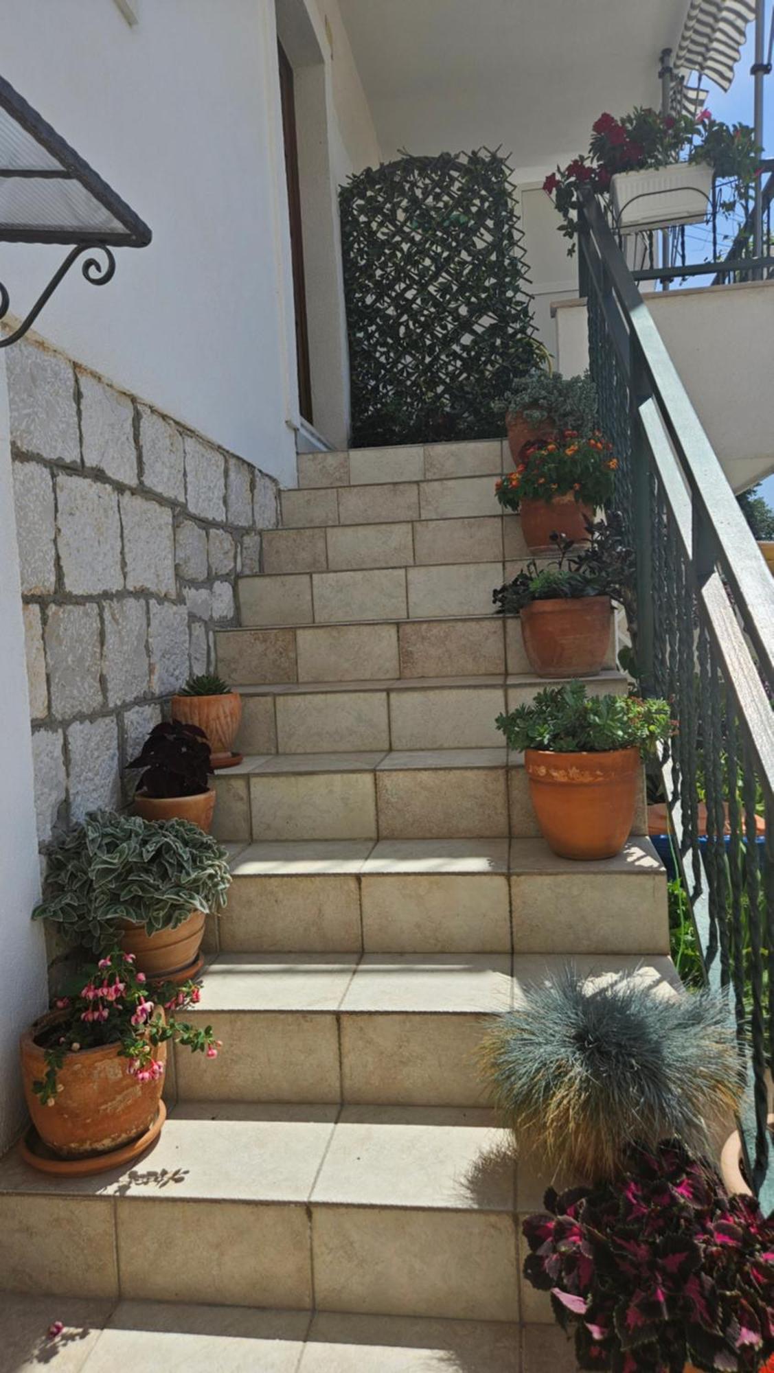 Viktorija Apartments سيغيت فغانييتْسا المظهر الخارجي الصورة